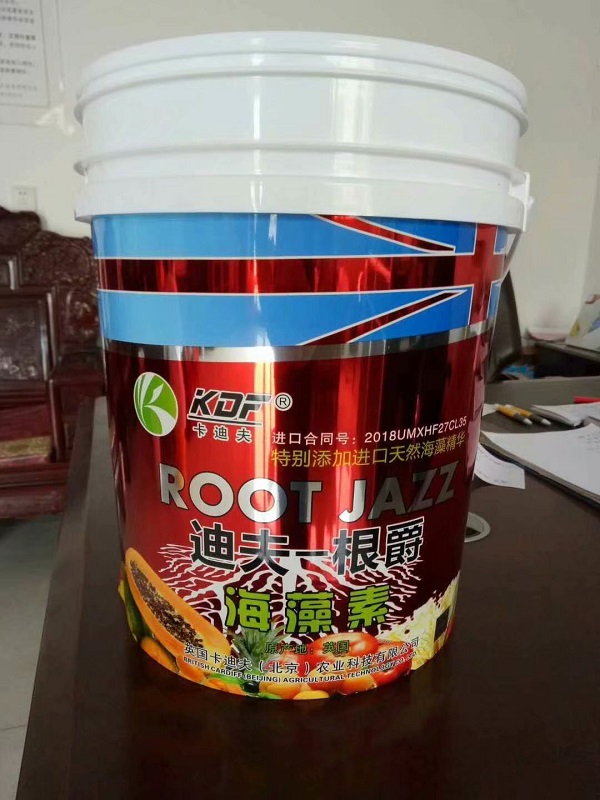 新型20公斤塑料桶，20升塑料桶