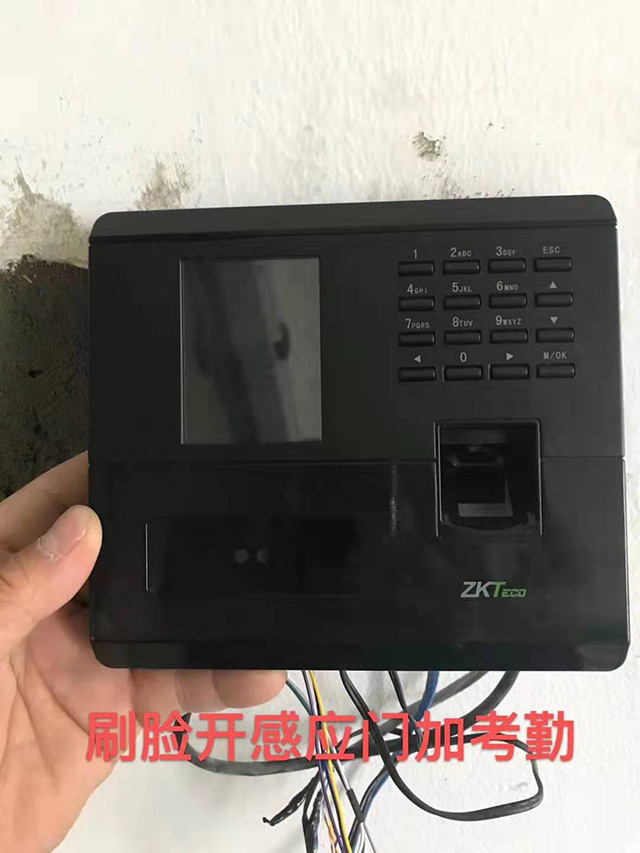 Tϵy(tng)