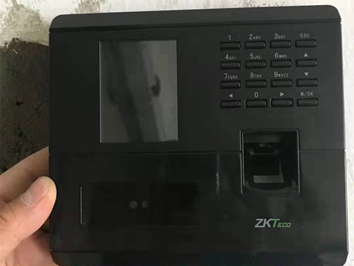 Tϵy(tng)